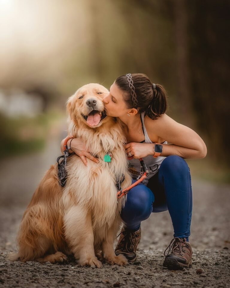 Alimentation idéale pour un Golden en forme