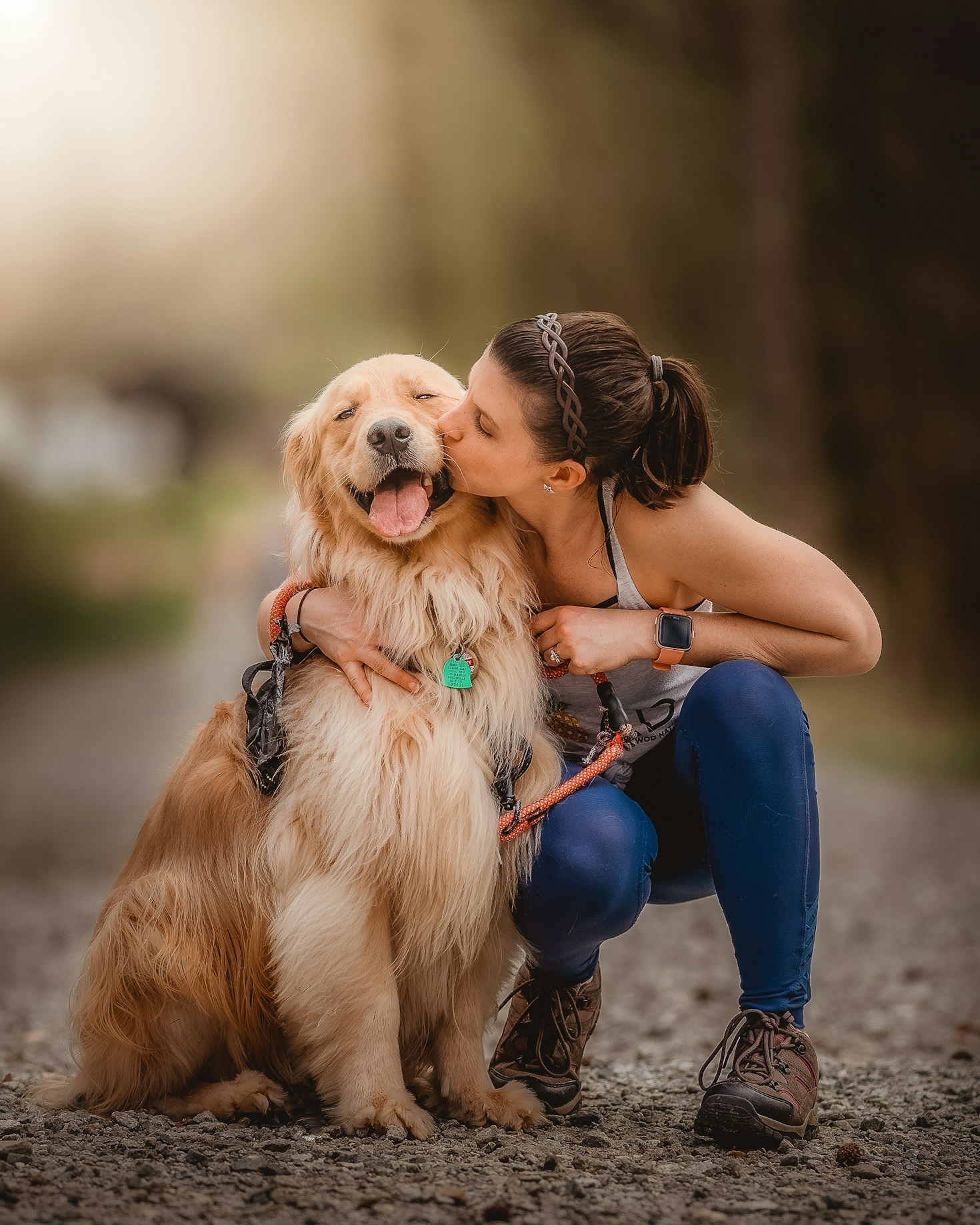 Alimentation idéale pour un Golden en forme