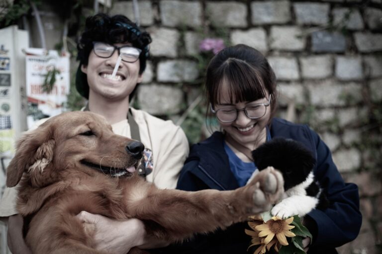 Les meilleurs accessoires pour votre chien